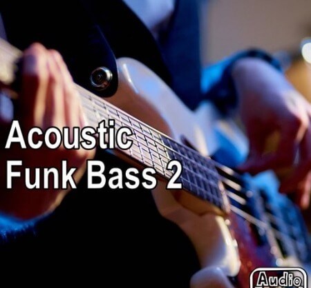 AudioFriend Acoustic Funk Bass 2 WAV